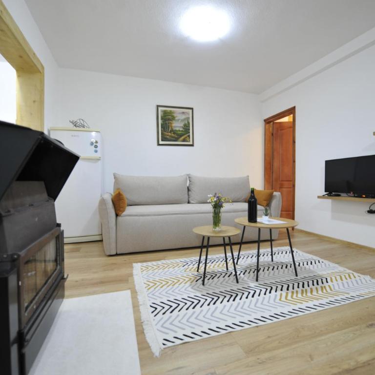 Apartments Nikcevic Zabljak - Apartment - 3