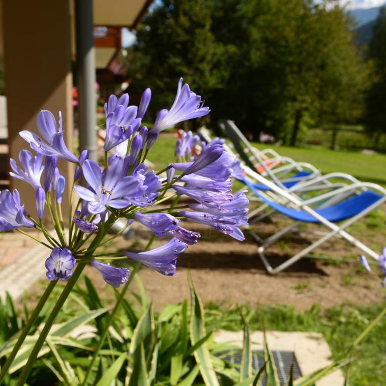 La Casa al Noce - Apartamento de 1 dormitorio - 3