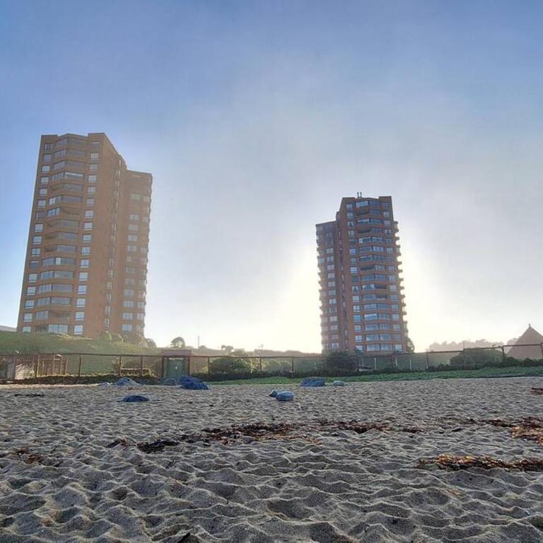 Total descanso frente al mar - Three-Bedroom Apartment - 5