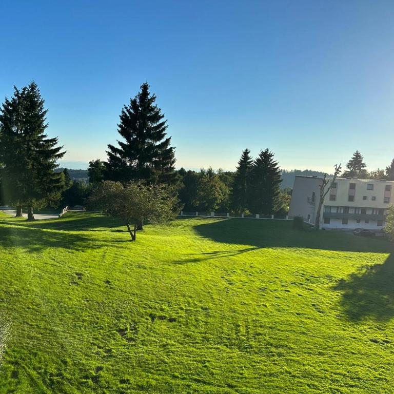 Wohnung in Sankt Englmar - Appartamento con 1 Camera da Letto - 21