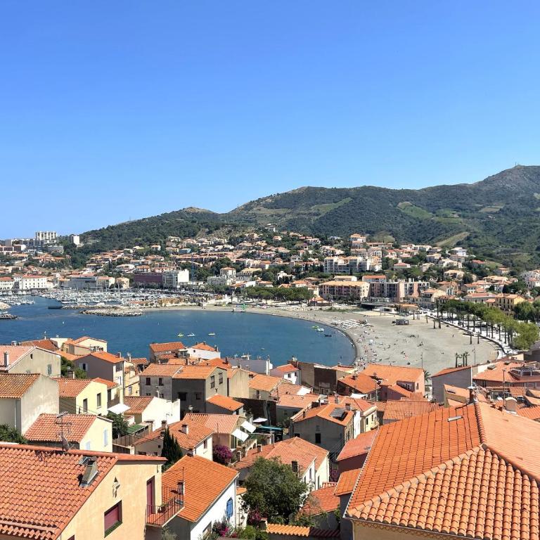Banyuls-sur-Mer, Appartement Duplex avec Garage - FR-1-309-276 - Apartment mit 2 Schlafzimmern - 4