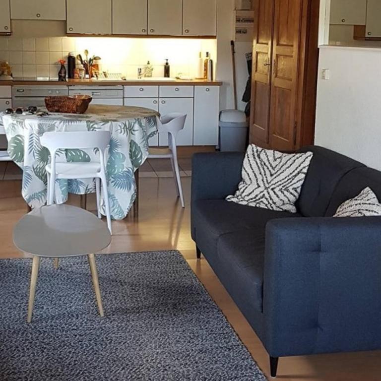 Les Gets : Triplex 5 pièces pour 8 pers, proche télésiège, navette, balcon, ski/vélo - FR-1-802-1 - Apartment - 6