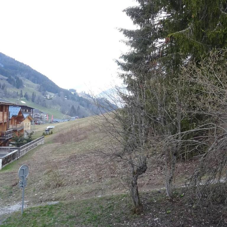 Appartement lumineux Les Gets, 6 pers, cheminée, garage fermé, arrivée skis - FR-1-802-72 - Apartment - 9