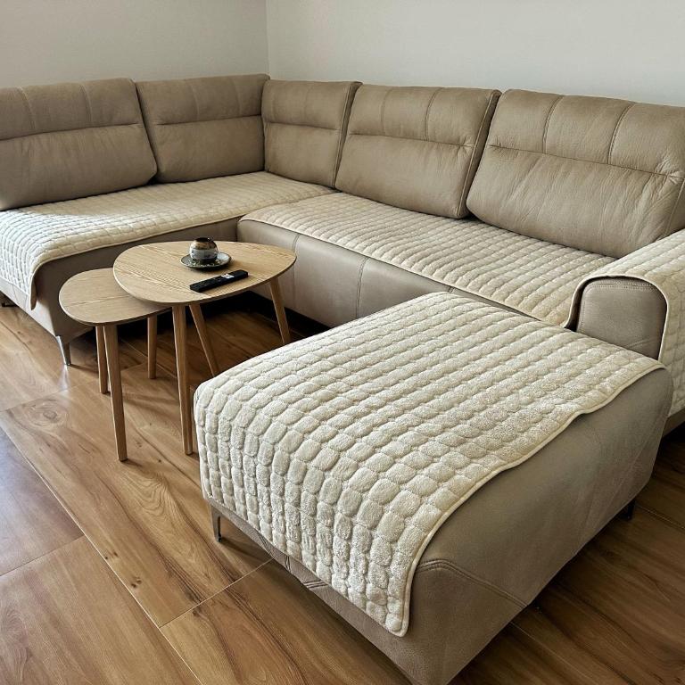 Nirvana S - One-Bedroom Apartment - 2