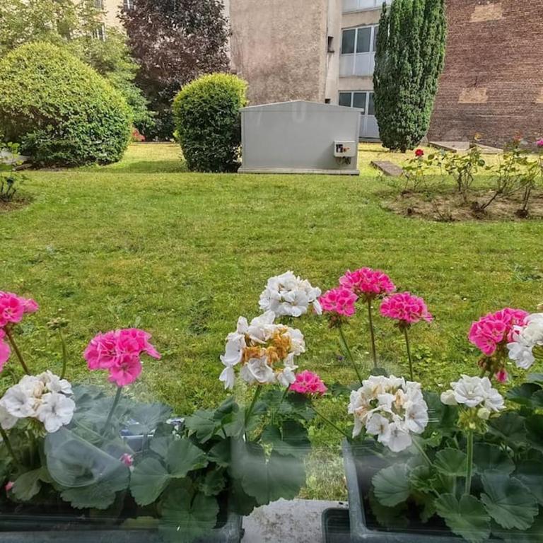 T2 meublé 1 er étage dans un quartier calme à PARIS 17 - Apartamento de 1 dormitorio - 11