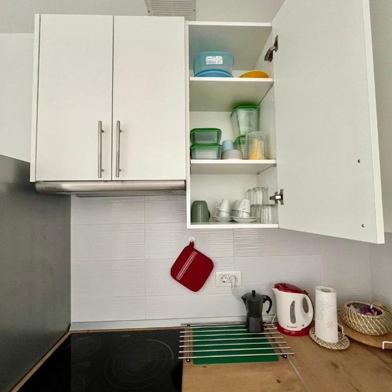 Piso F-Primavera GT - Apartamento de 1 dormitorio - 55