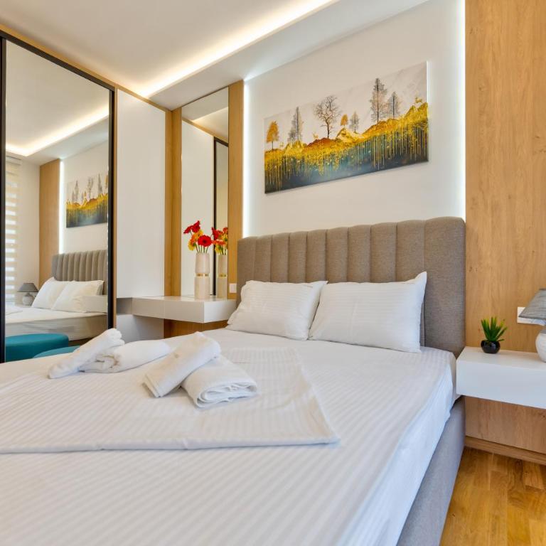 VIP Bogić Apartmani - Recepcija - Apartman sa Terasom - 14