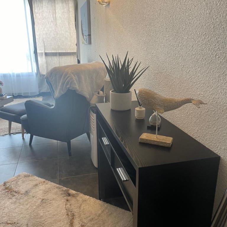 Appartement 6 couchages Marseillan Plage - Appartement 2 Chambres - 10