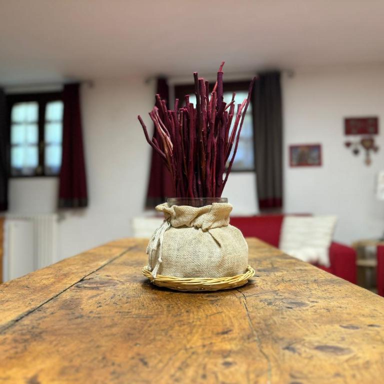 Abri des Cimes, dormire tra pietra e legno CIR 0124 - Appartamento con 1 Camera da Letto - 14