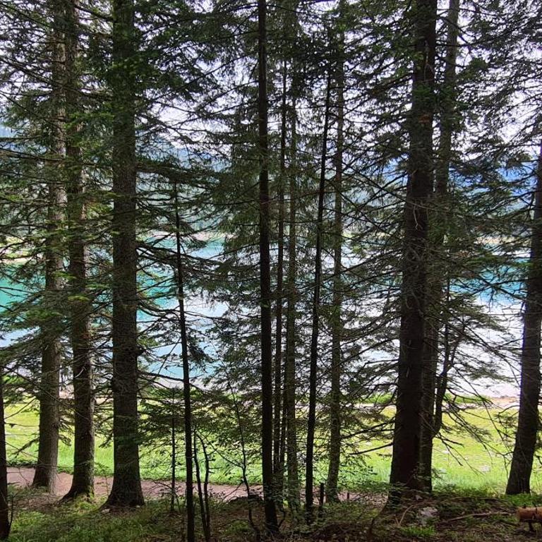 Mountain Villas Žabljak - Two-Bedroom Chalet - 37