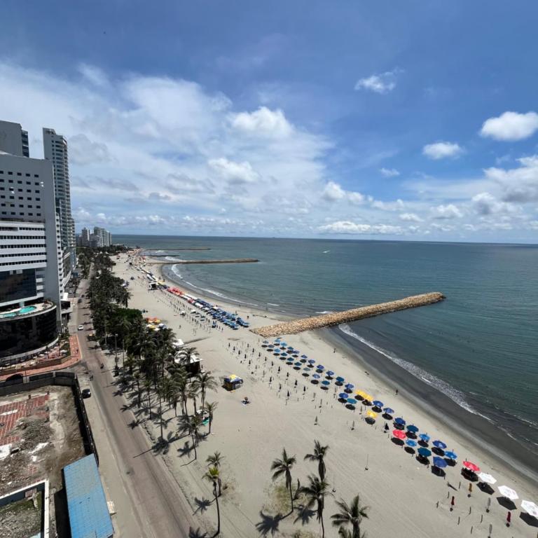 Sleep by the Caribbean - One-Bedroom Apartment - 2