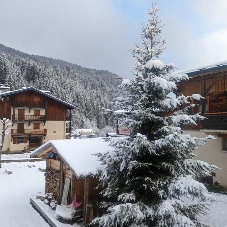 Appartement La Duchère Le Plan-la Giettaz massif des Aravis - Appartamento con 1 Camera da Letto - 42
