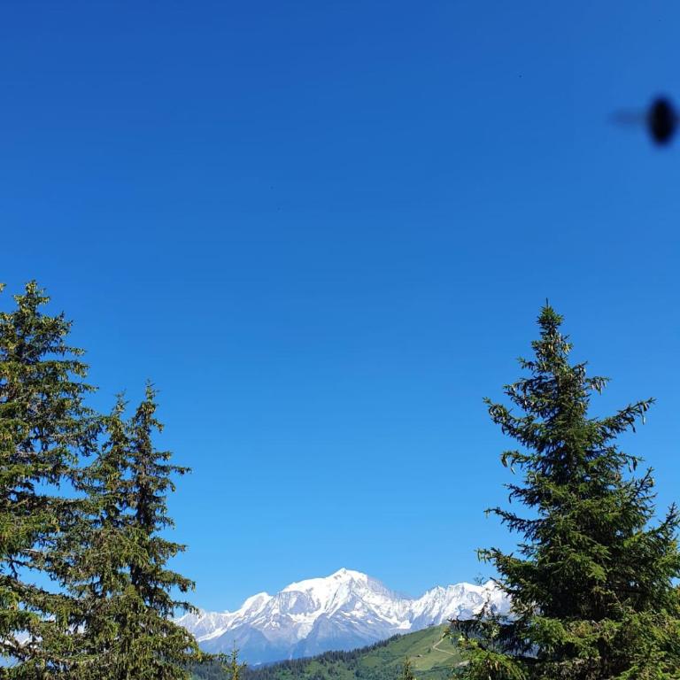 Appartement La Duchère Le Plan-la Giettaz massif des Aravis - Appartamento con 1 Camera da Letto - 44