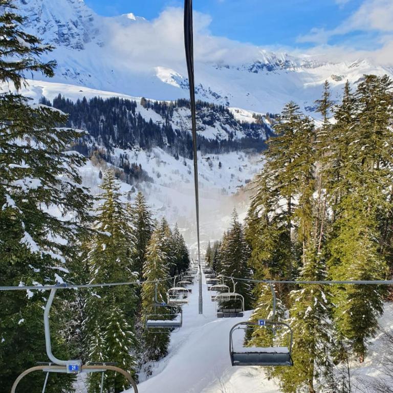 Appartement La Duchère Le Plan-la Giettaz massif des Aravis - Appartamento con 1 Camera da Letto - 49