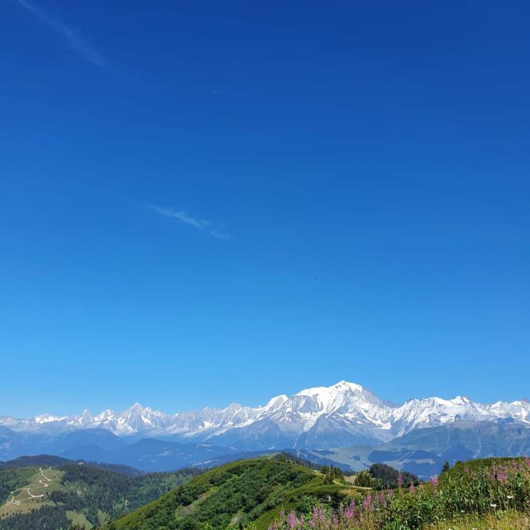 Appartement La Duchère Le Plan-la Giettaz massif des Aravis - Appartamento con 1 Camera da Letto - 51