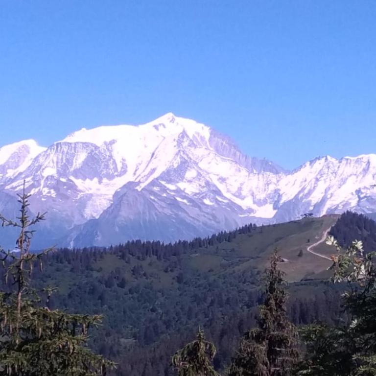 Appartement La Duchère Le Plan-la Giettaz massif des Aravis - Appartamento con 1 Camera da Letto - 52