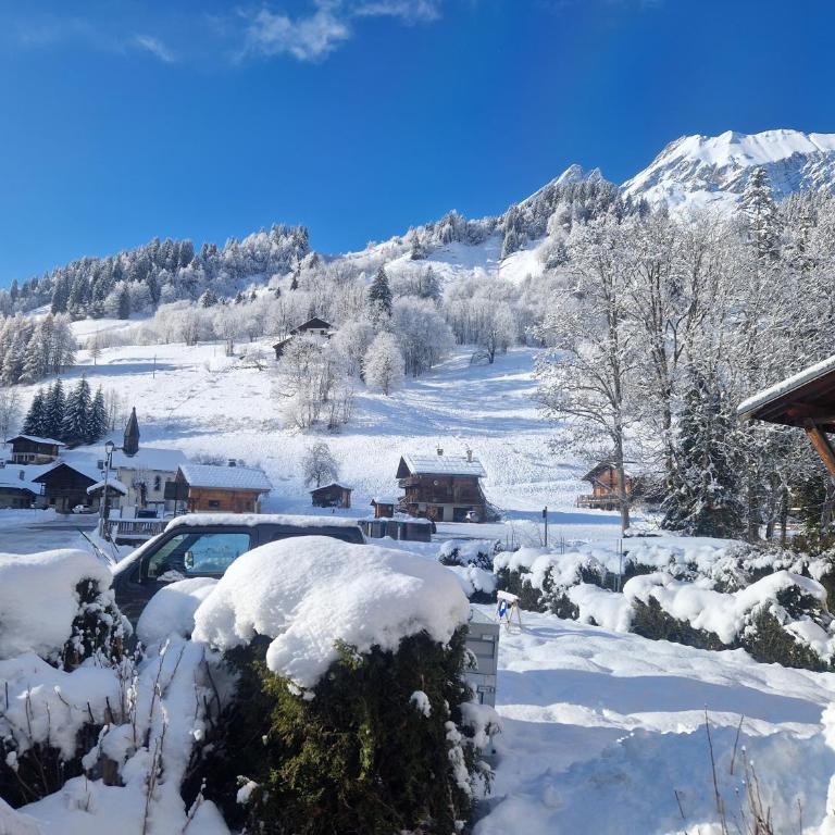 Appartement La Duchère Le Plan-la Giettaz massif des Aravis - Appartamento con 1 Camera da Letto - 53
