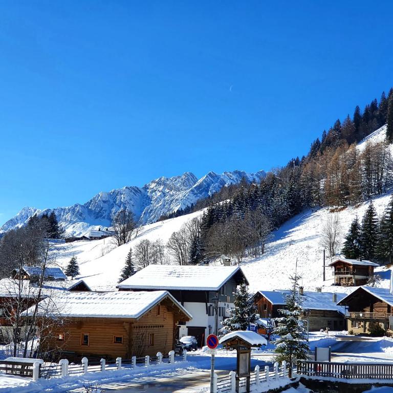 Appartement La Duchère Le Plan-la Giettaz massif des Aravis - Appartamento con 1 Camera da Letto - 55