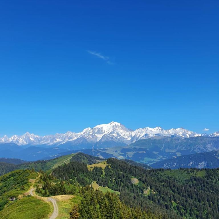 Appartement La Duchère Le Plan-la Giettaz massif des Aravis - Appartamento con 1 Camera da Letto - 56