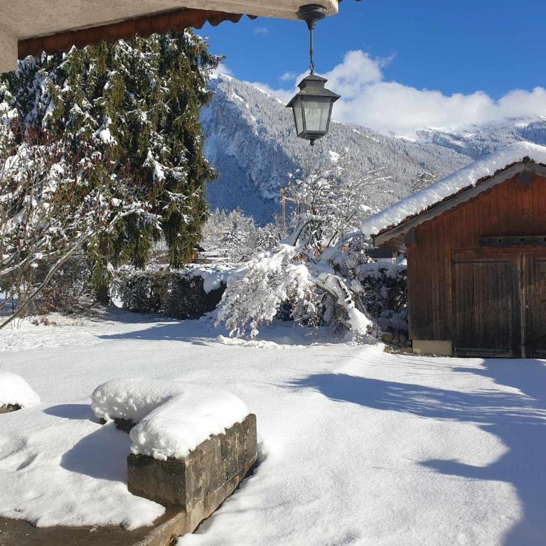 Appartement chalet calme, proche centre, animaux acceptés - FR-1-624-45 - Appartement (4 Adultes) - 13