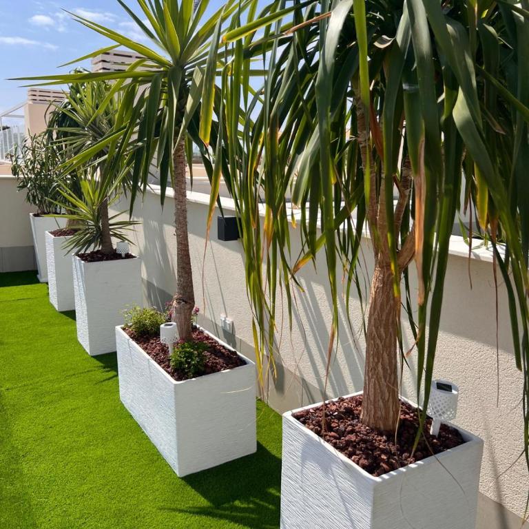 Mediterranean Garden Holidays - Two-Bedroom Apartment - 37