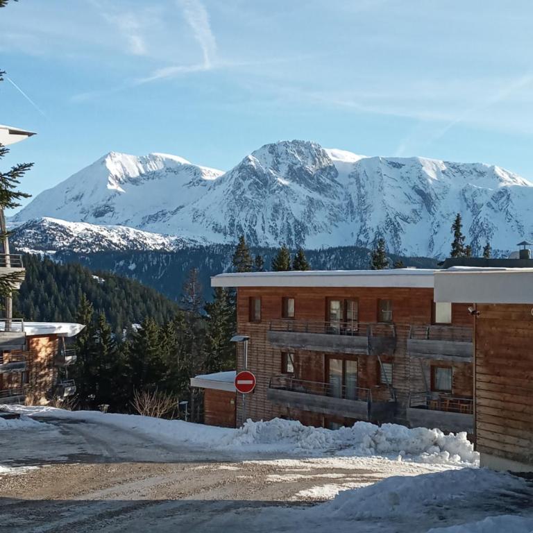 Les Domaines de LArselle à Chamrousse 1700 - Droseras D12 avec accès piscine - Classé 3 étoiles - Appartamento con 2 Camere da Letto - 2