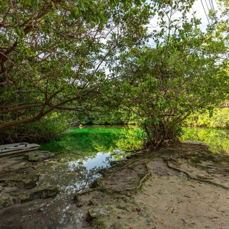 Luxury Beachfront Getaway Tankah Bay - Apartamento de 2 dormitorios - 3