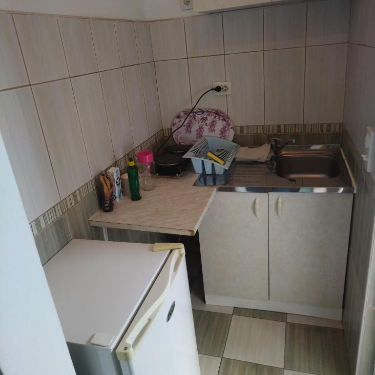 Apartmani Pikula - Apartman sa Tušem - 1