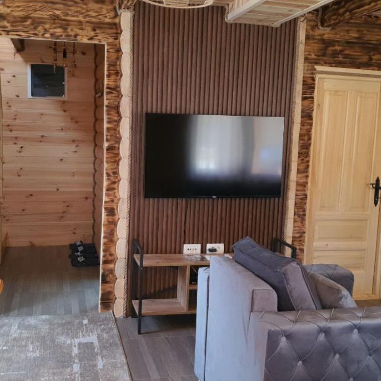 Zagrad Homes in Zabljak - Three-Bedroom House - 6