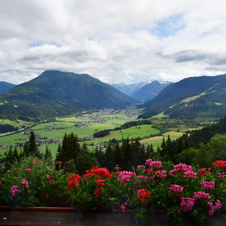 Pürstinghof - Apartment mit 1 Schlafzimmer, Balkon und Bergblick - 6