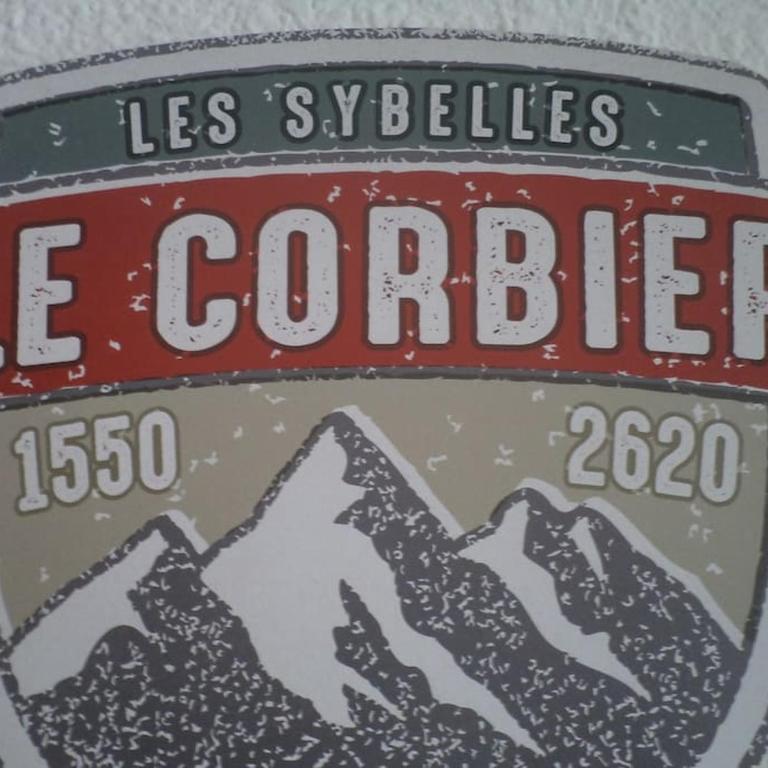 Studio cabine Pégase 18 08 étage élevé balcon sud vue pistes - Studio - Vue sur Montagne - 10