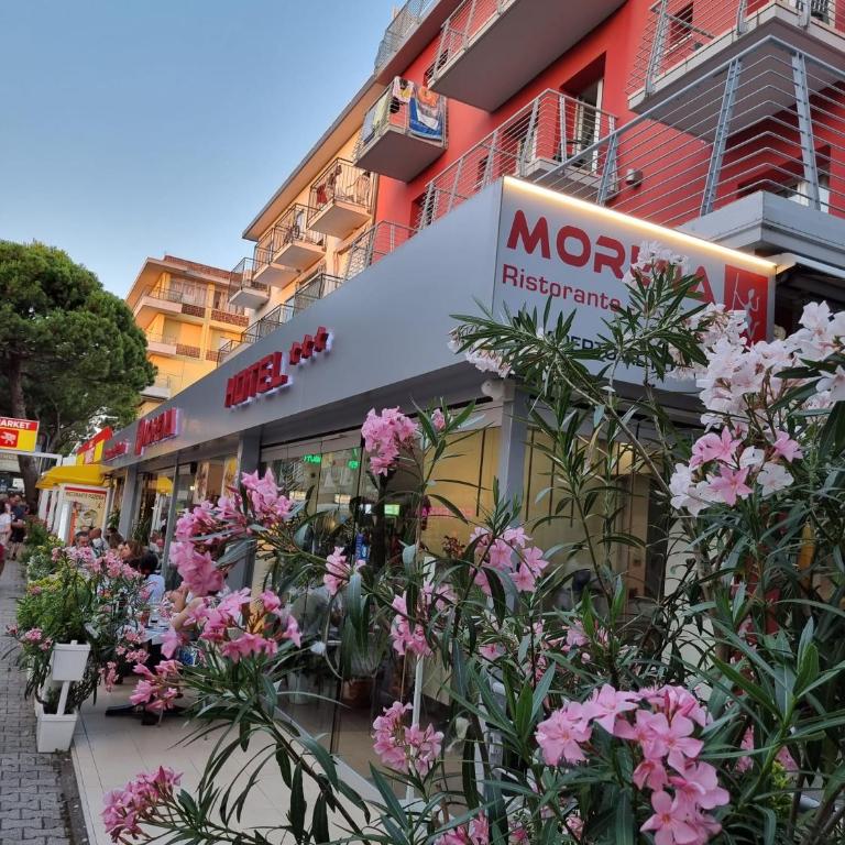 Hotel Morena - Camera Matrimoniale/Doppia con Letti Singoli - 6