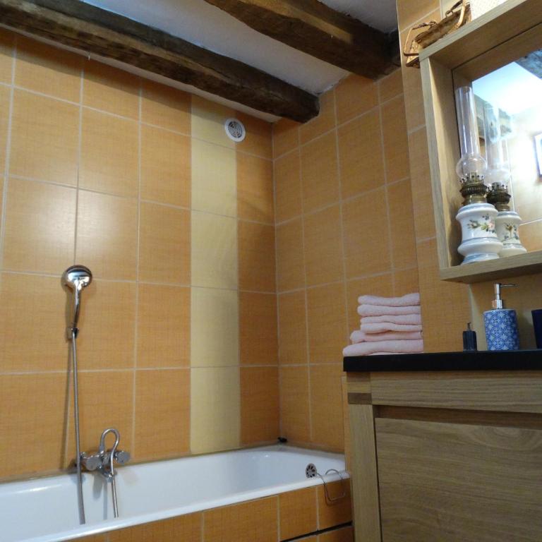 Vue sur Chateau et Loire - Appartement - 2