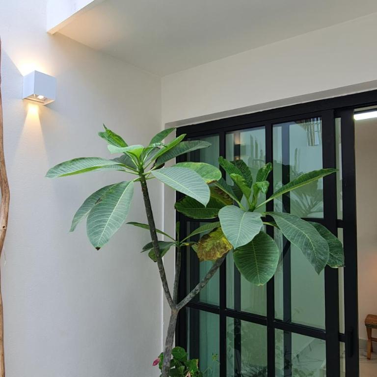 Casa Ecos d' Alma - One-Bedroom Apartment - 18