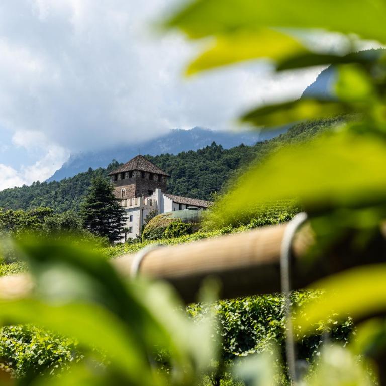 Weinhof Kager - Appartamento con 2 Camere da Letto - 41