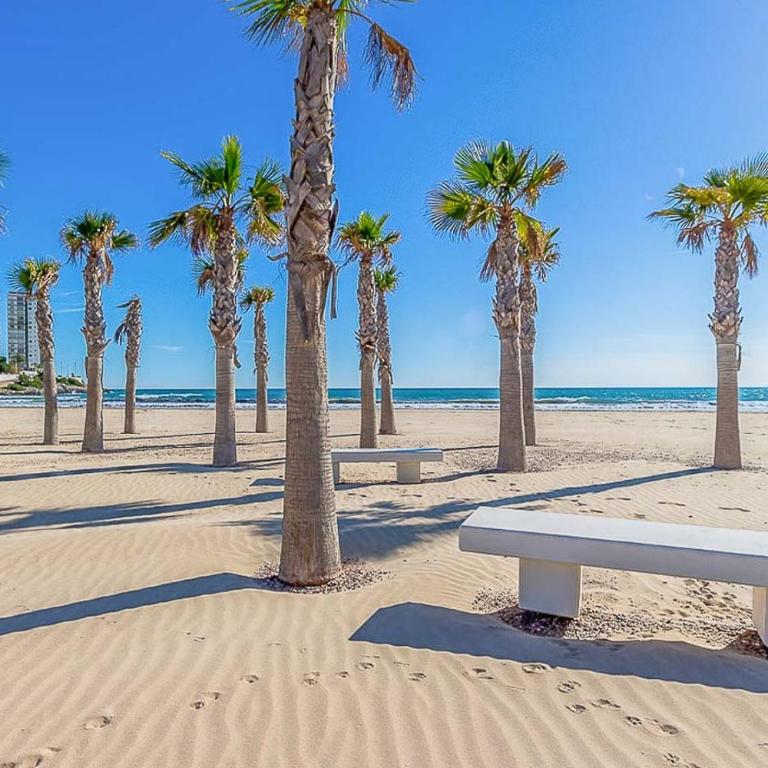 Apartamento Fani Oro - Apartamento de 1 dormitorio - 21