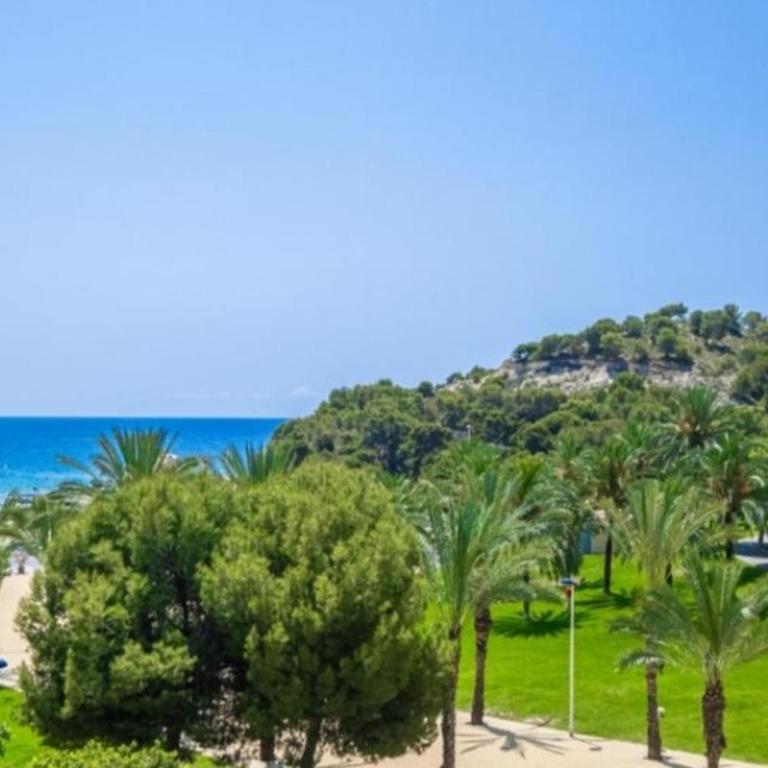 Benidorm Cala Front Line - Apartamento - 10