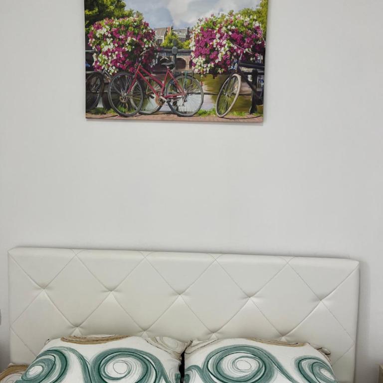 Apartmani PERICIC SUTOMORE NEW HOUSE - Studio - 8