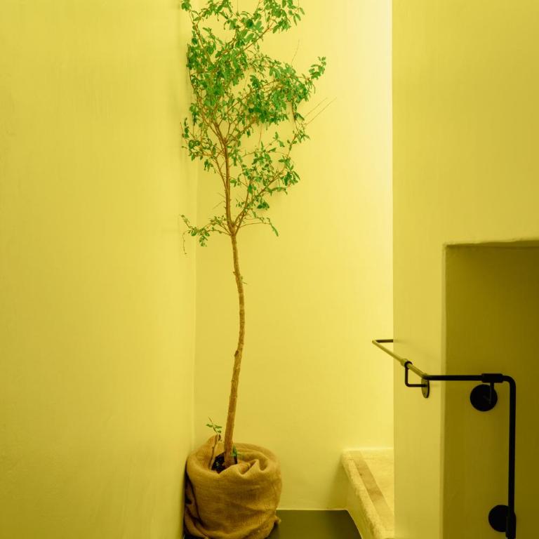 Palazzo Biancofiore, suites & rooftop Ostuni - Suite con Vasca Idromassaggio - 17