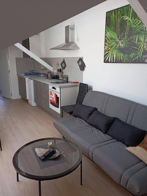 Appartement loft 55m2 climatisé - Appartement 1 Chambre - 2