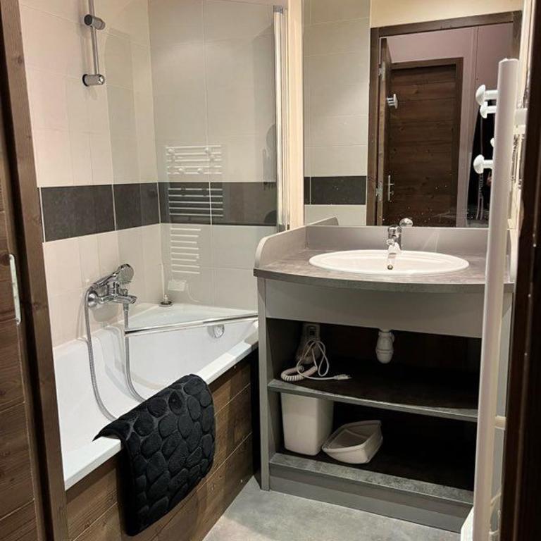 Superbe appartement ski aux pieds - Appartement 1 Chambre - 9