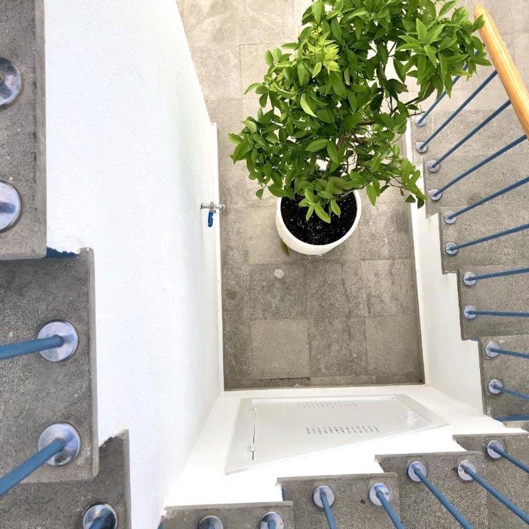 ChezmoiHomes PATIO de LUZ - Stylish apartments in Párraga 13 - Superior Apartment - 1