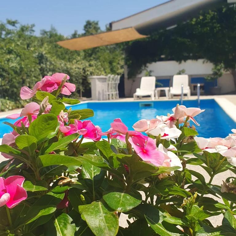 Vacation Home Mirasole - Vacation Home - 6