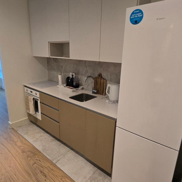 Bel Dorado - Belgrade Waterfront Luxury Studio - Apartman sa 1 Spavaćom Sobom - 17