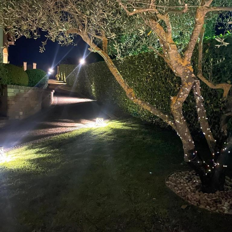 Villa Marilì - Villa con 3 Camere da Letto - 28