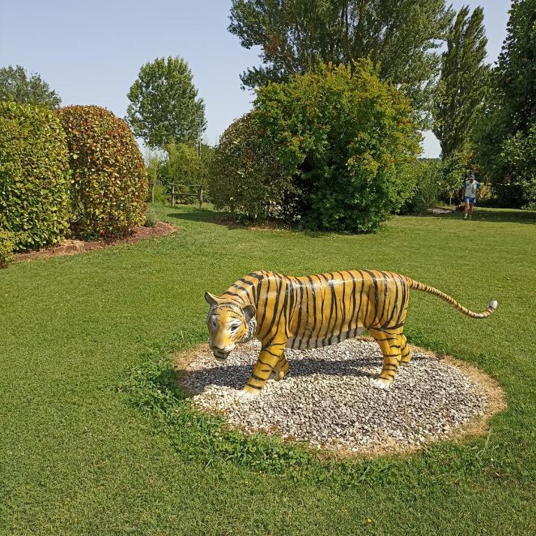 [Piscina Privata] Tiger Home, Toscana - Appartamento con 1 Camera da Letto - 21