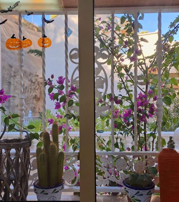 Ciudad Quesada - Amazing Sunset House - terrace and pool - Haus mit 2 Schlafzimmern - 15