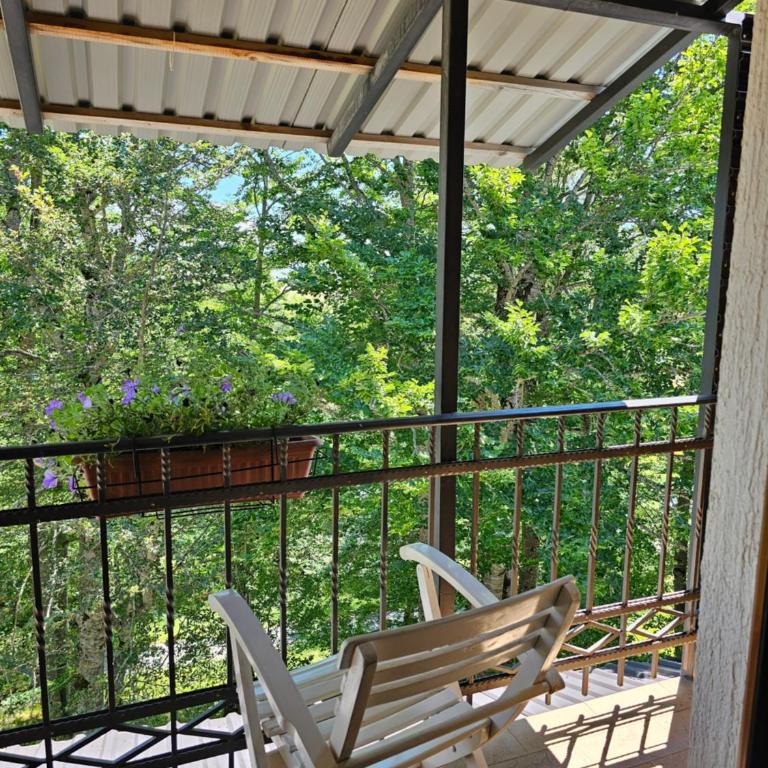 Gorska Vila Apartments - Apartment with Balcony - 14