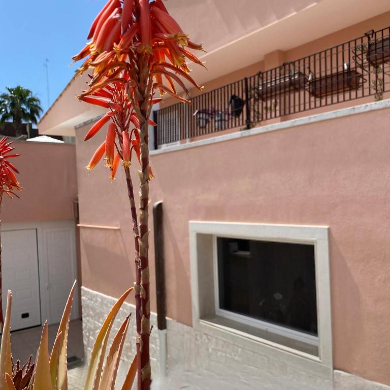 Villa Serena - Appartamento con 1 Camera da Letto - 3