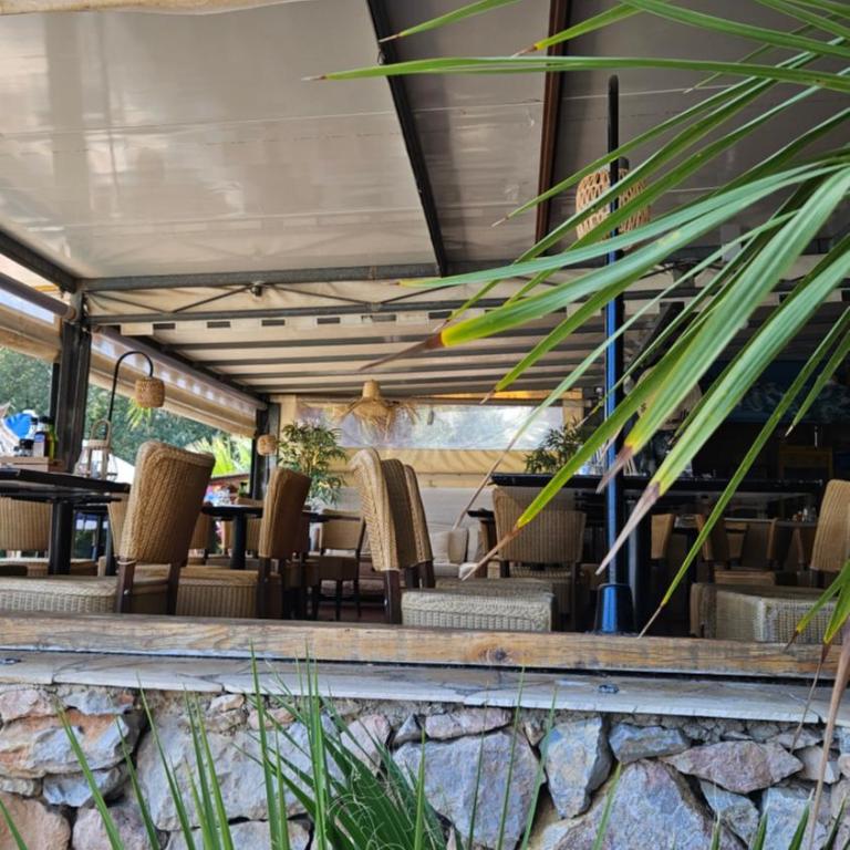 Agréable et familiale T2 Canet Plage - Apartment mit Terrasse - 50